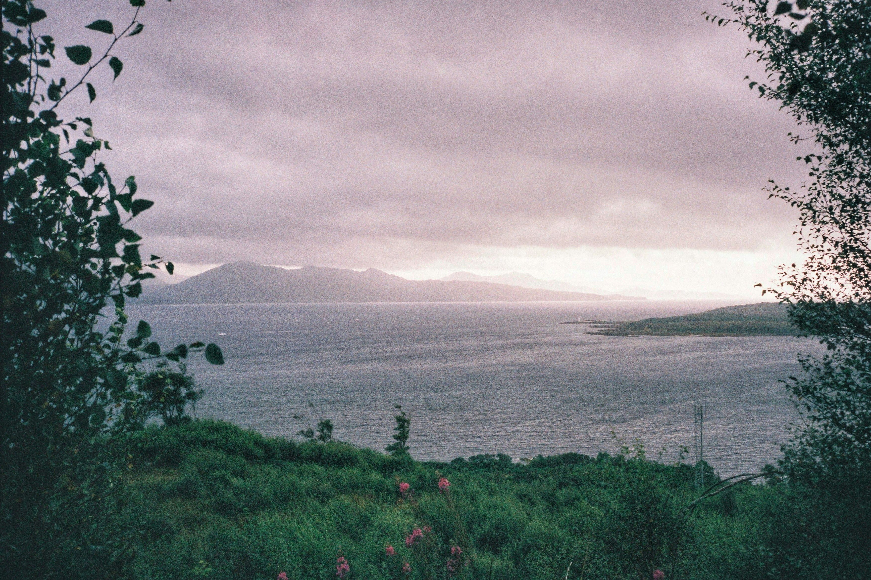 Photo by tomasrobertson