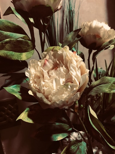 Close-up of a handcrafted bouquet featuring blush peonies and eucalyptus leaves in a rustic wrap.