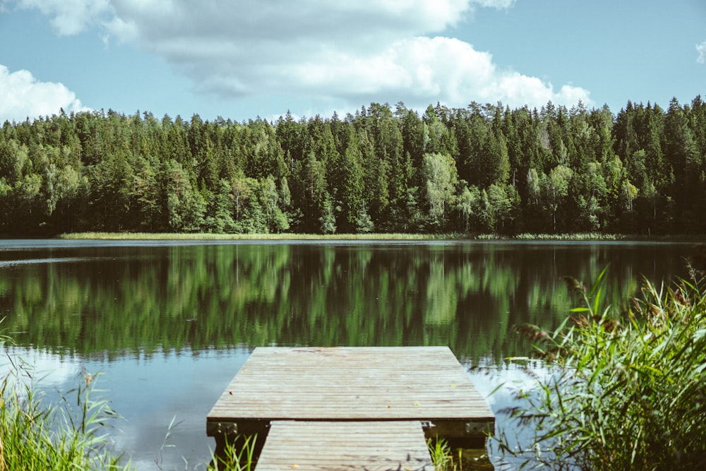 Pontile di legno marrone di fronte al lago marrone