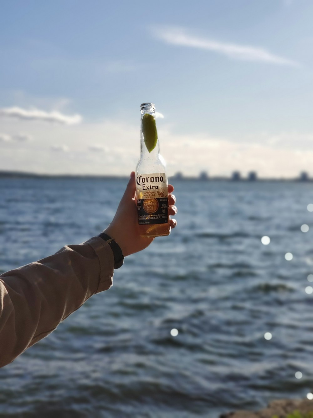 person holds Corona bottle