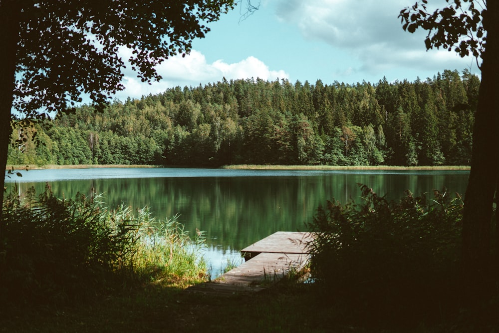 leeres Dock in der Nähe des Wassers