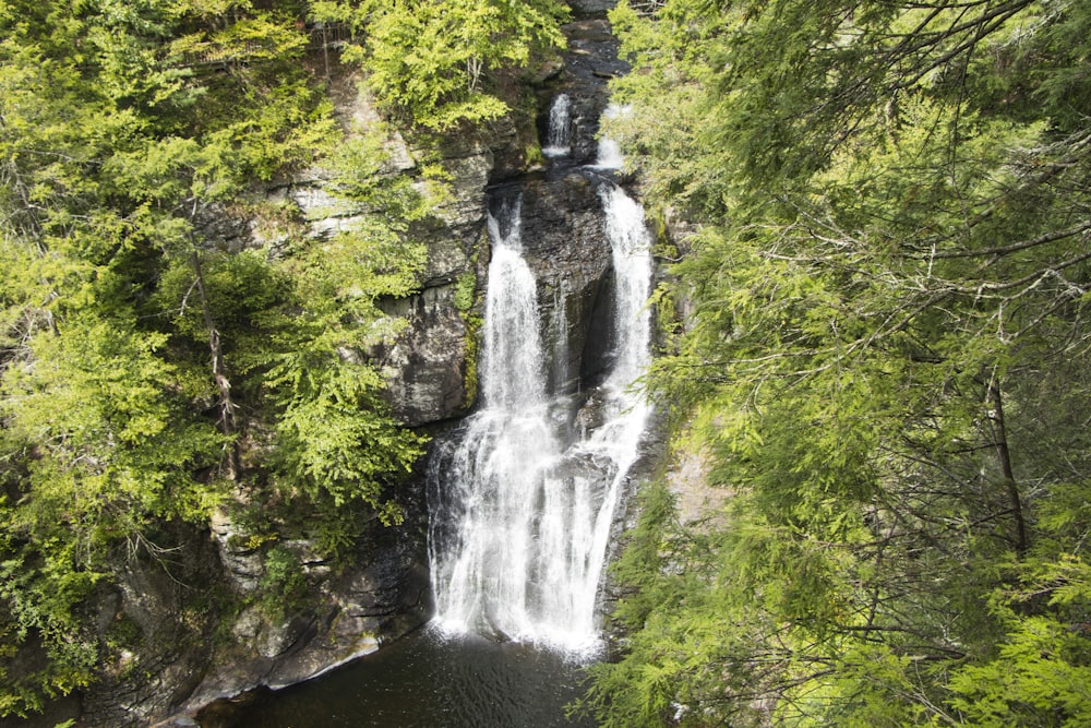 waterfalls between green trees at daytime