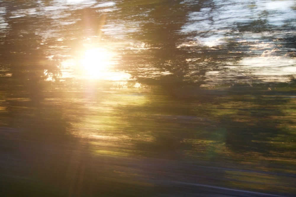 Die Sonne scheint durch die Bäume in der Ferne