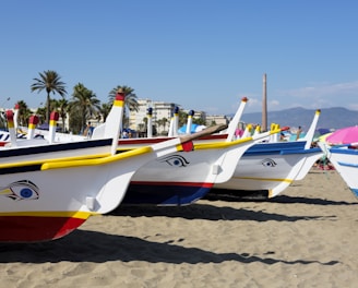 lined boats on seashore