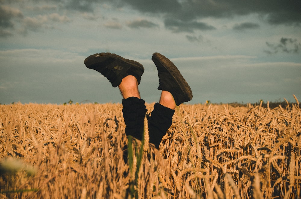 person wearing black sneakers standing on grass field