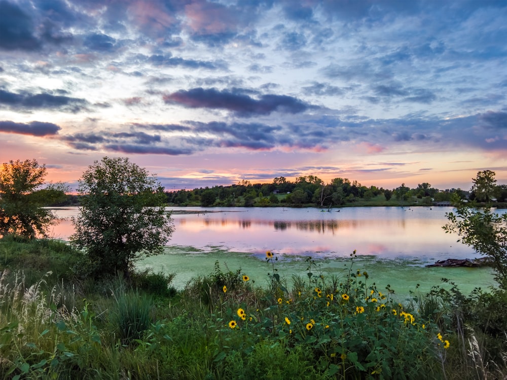 calm body of water during daytime