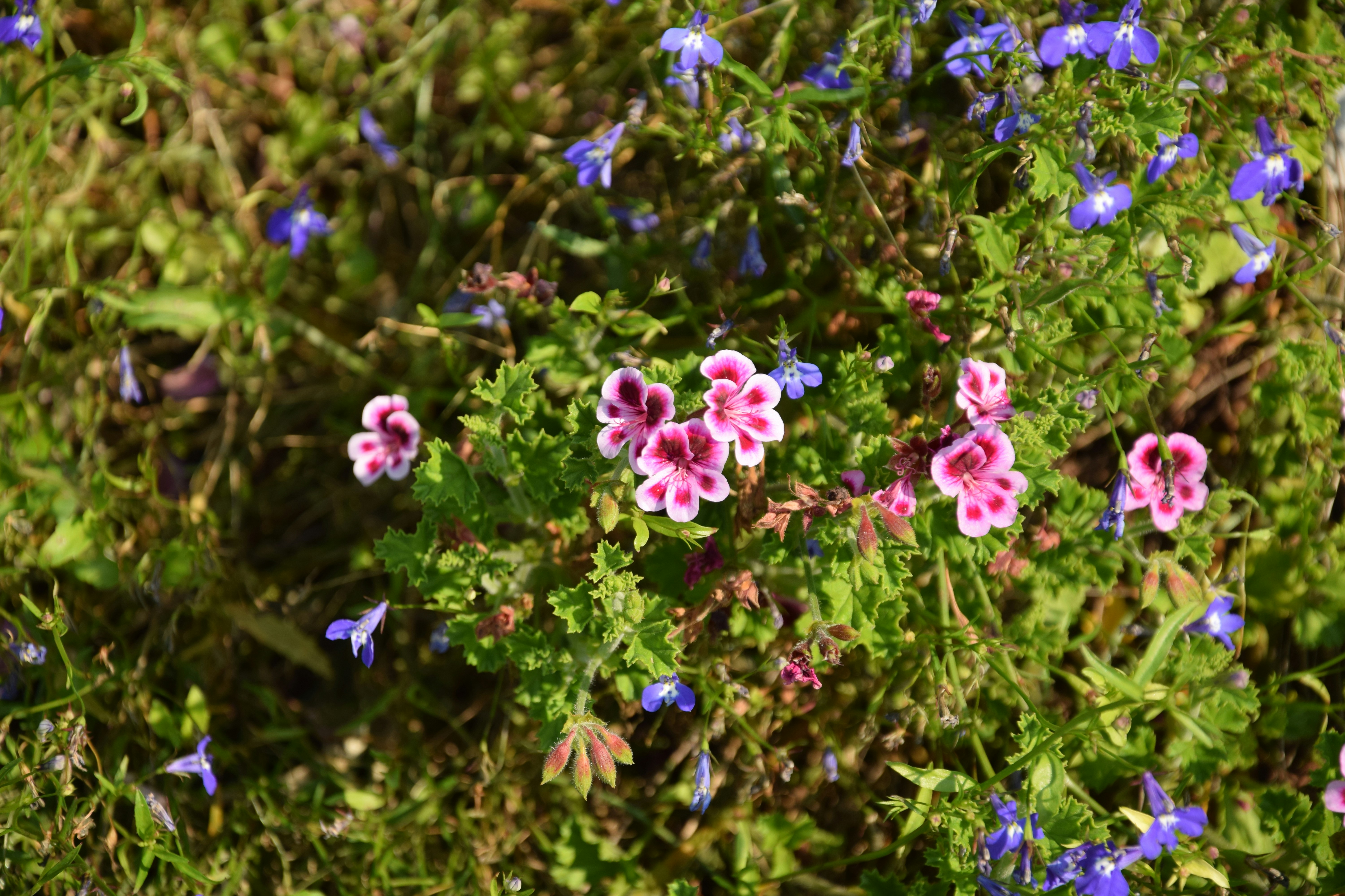 Photo by ritaprovidencia