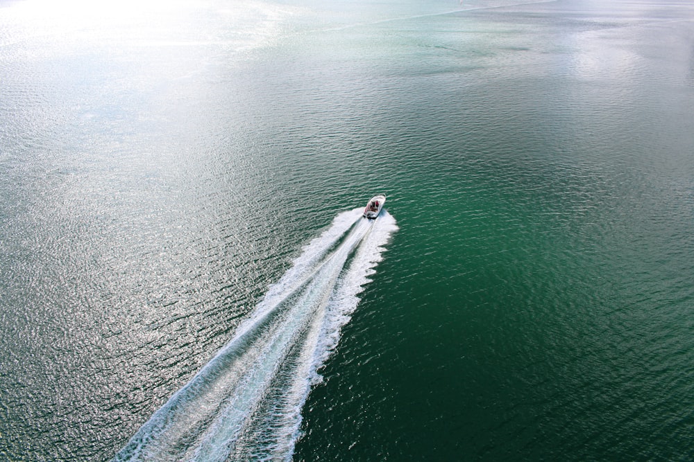 motoscafo sullo specchio d'acqua