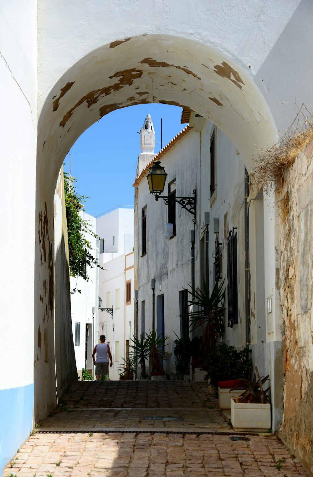 man wearing white tank top walking besides green plants