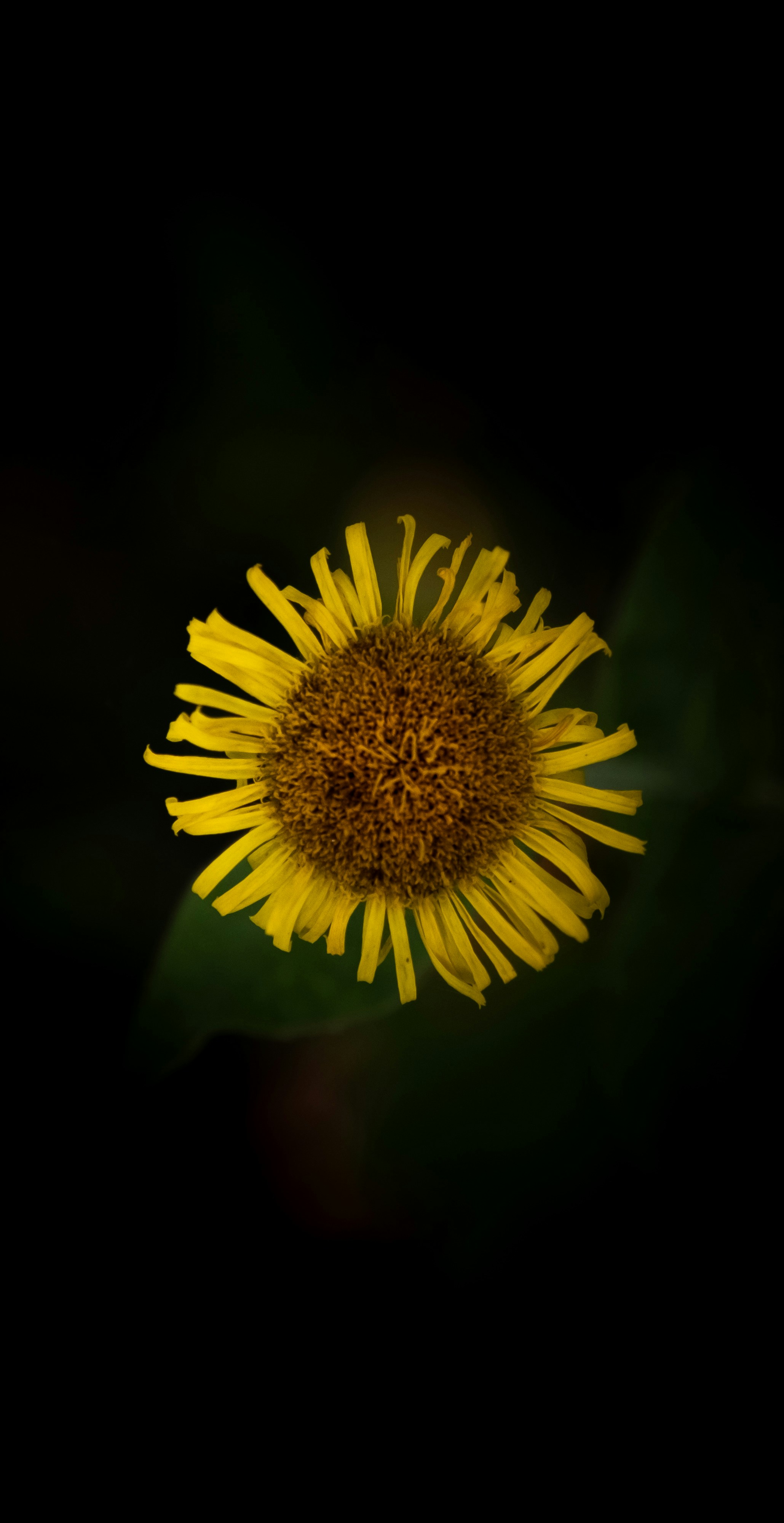 Photo by robinmathlener