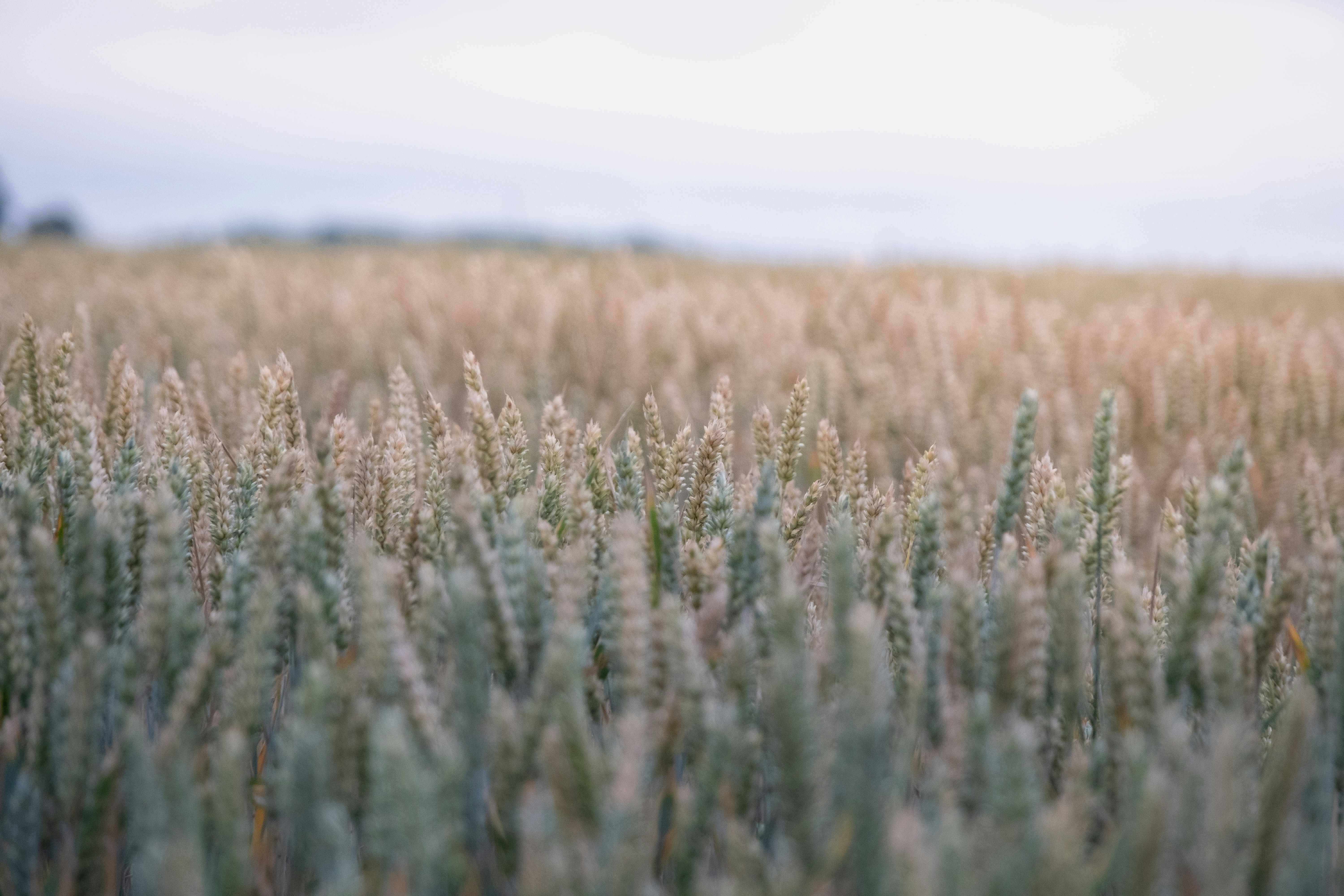 Photo by robinmathlener