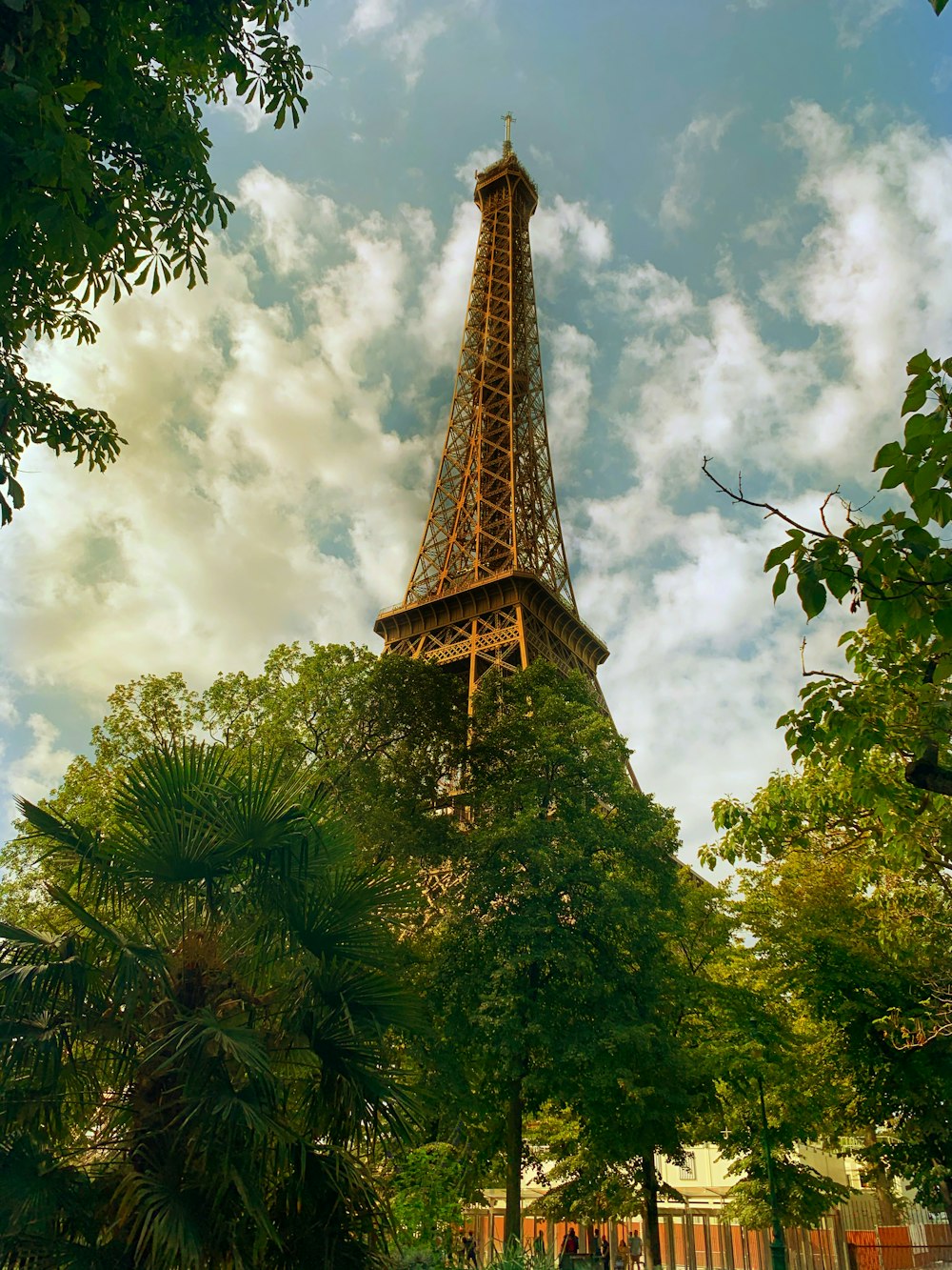 green trees across brown tower