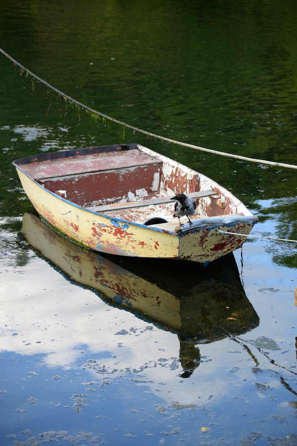 yellow, brown, and white jon boat on body of water