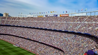 people on stadium watching soccer game