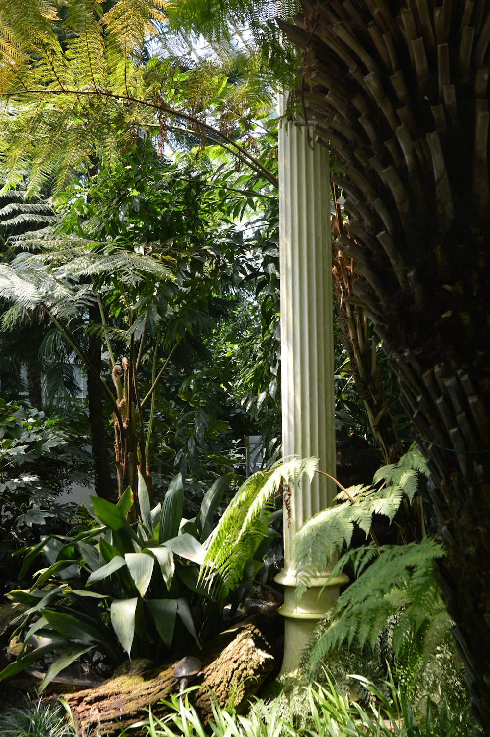 colonna in piedi accanto all'albero