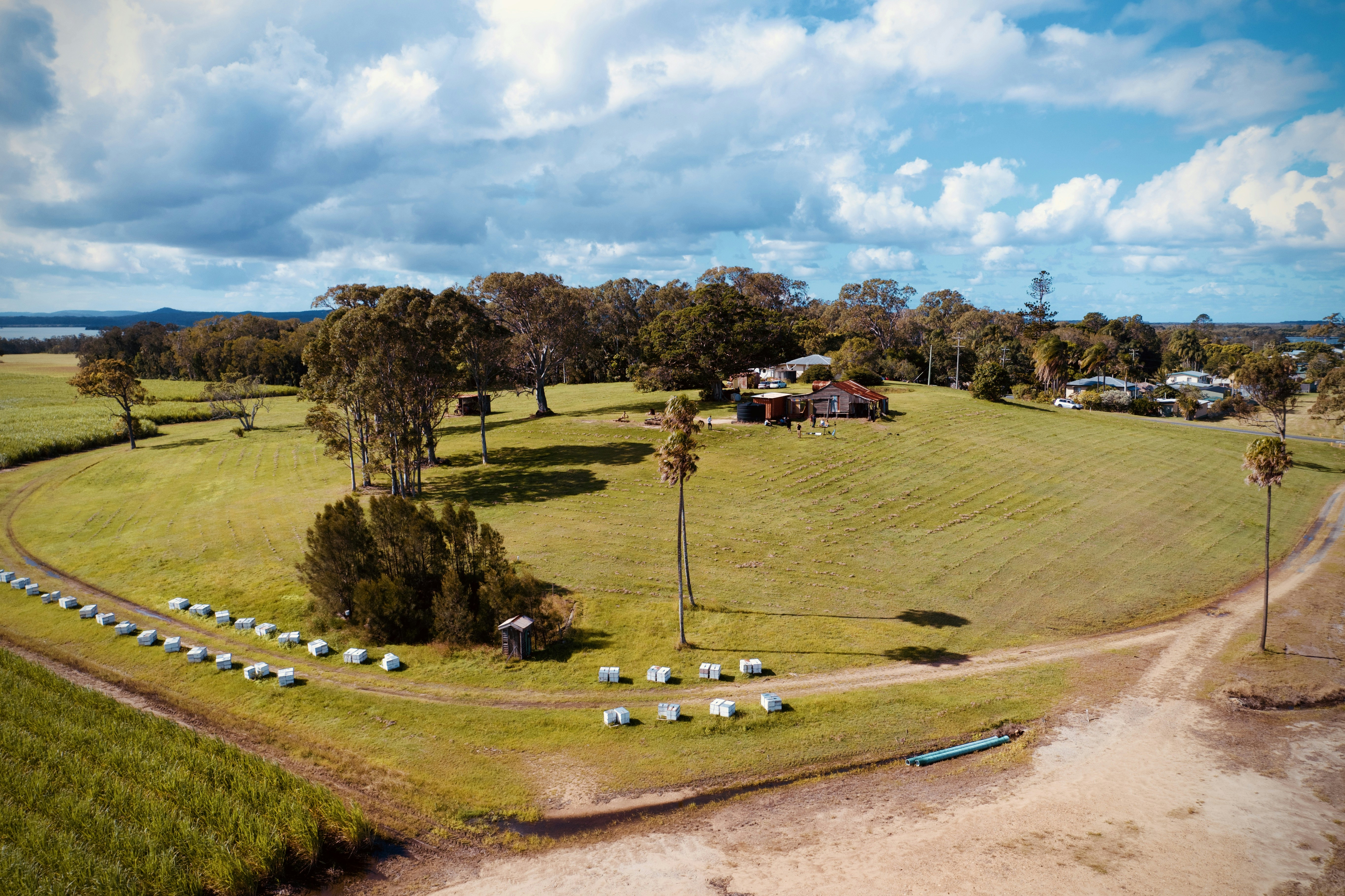 green trees under white clouds masters golf tournament teams background
