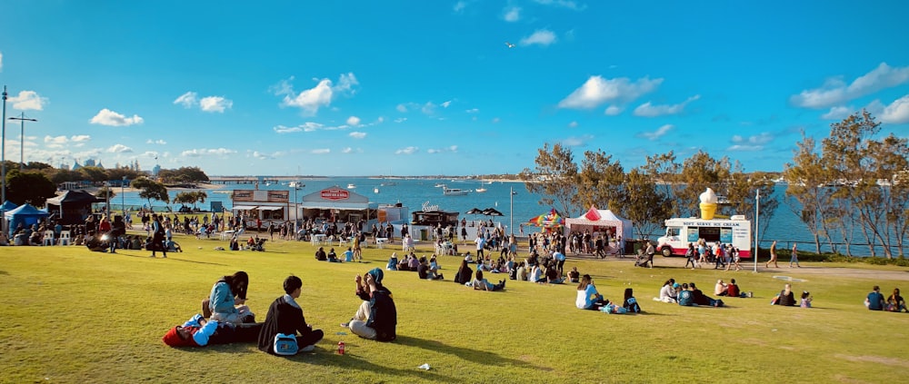 people sitting on grass field near body of water