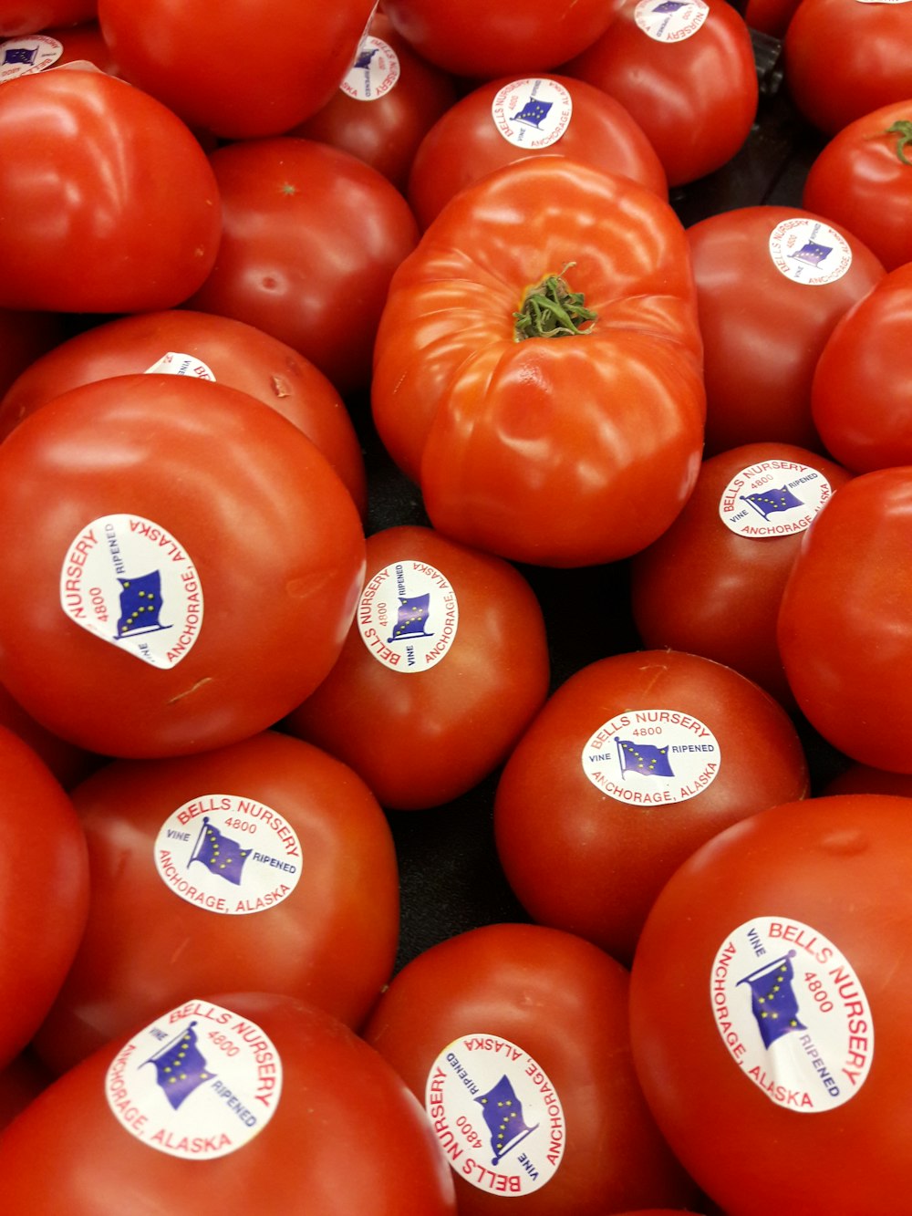 orange tomato fruits