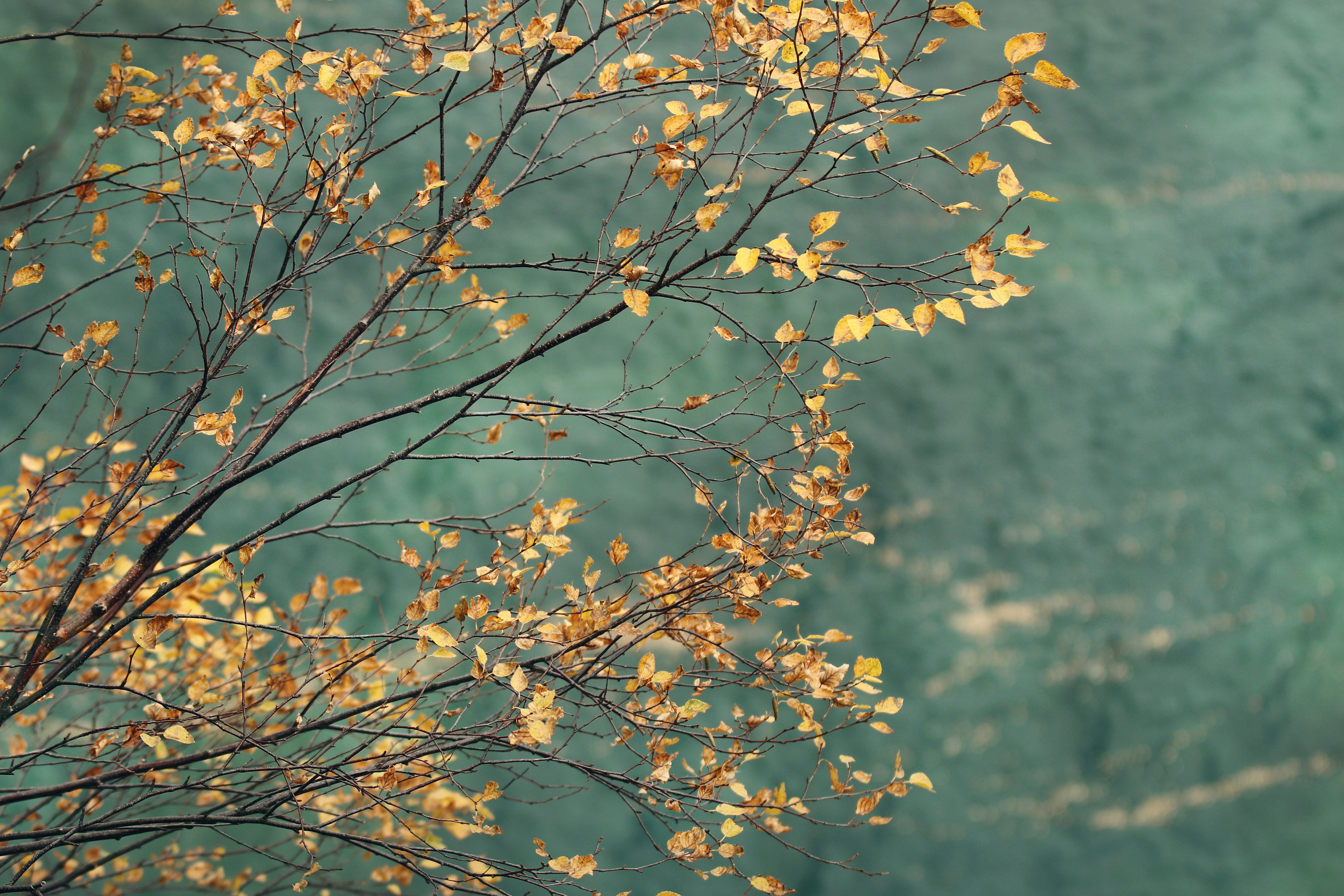 Photo by jentheodore