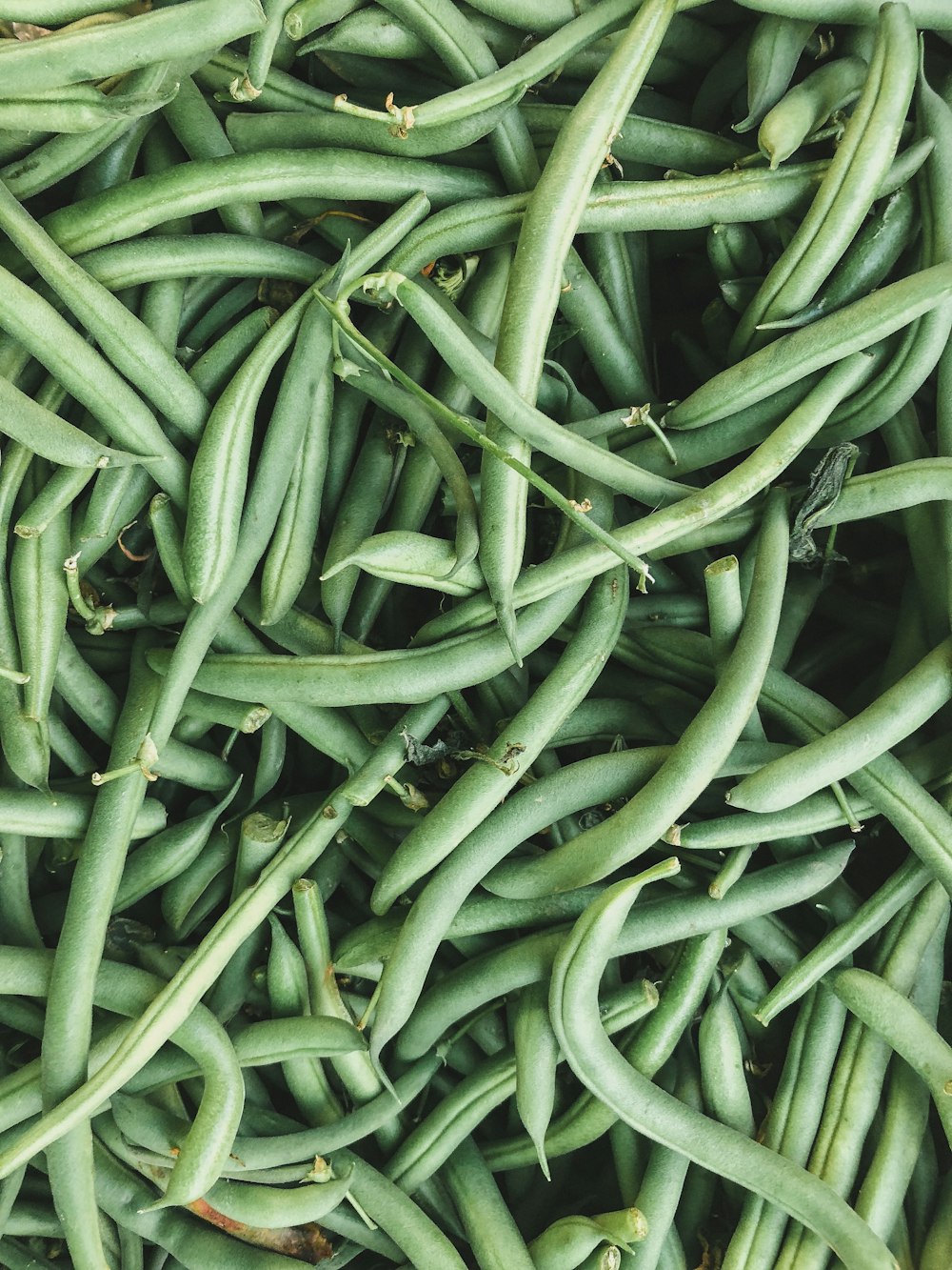 tas de haricots verts