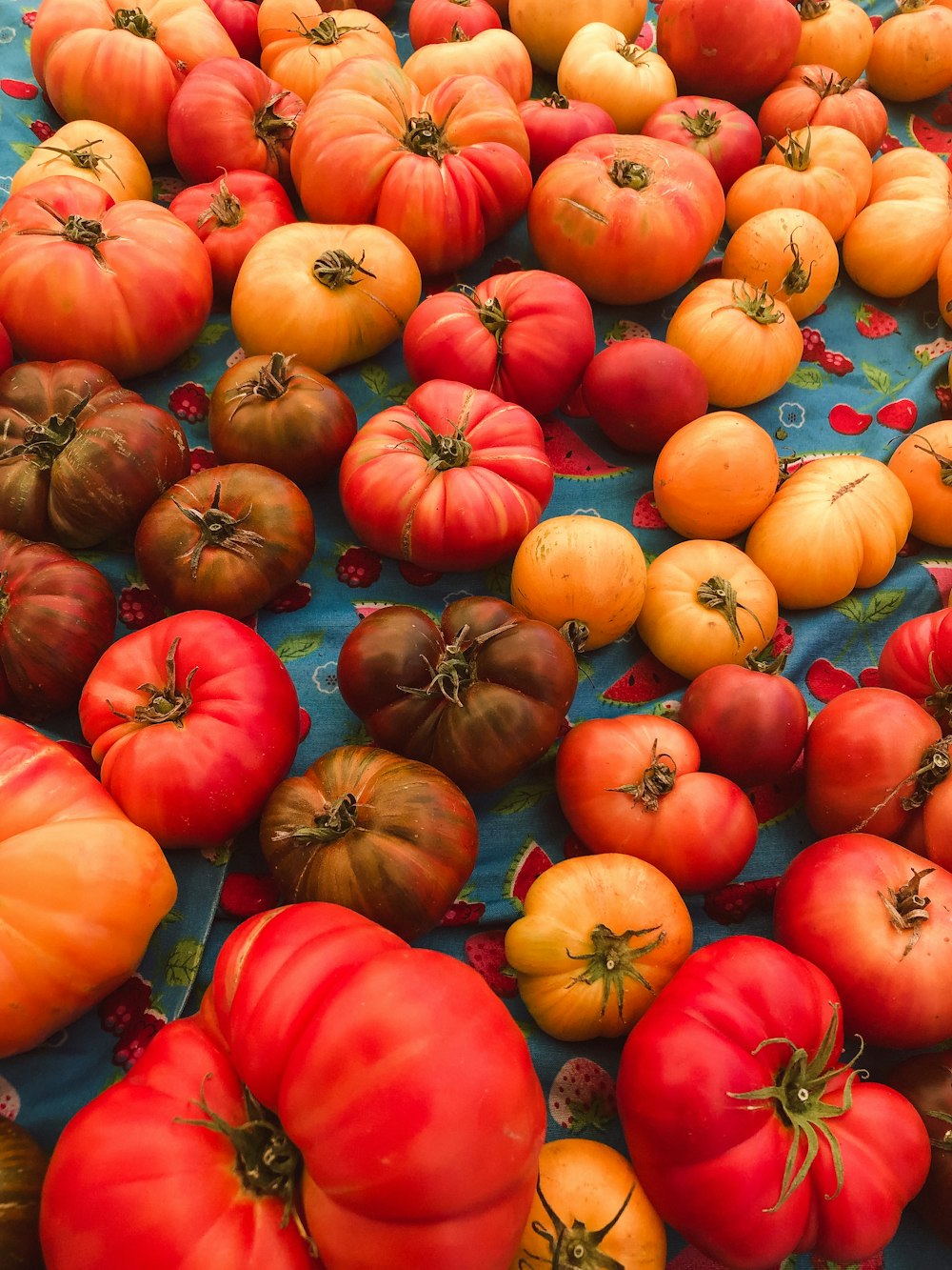 red and orange tomatoes