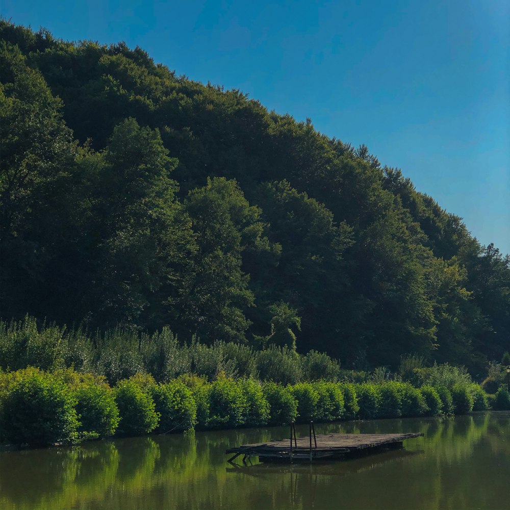 brown platform boat on body of water besides green forest