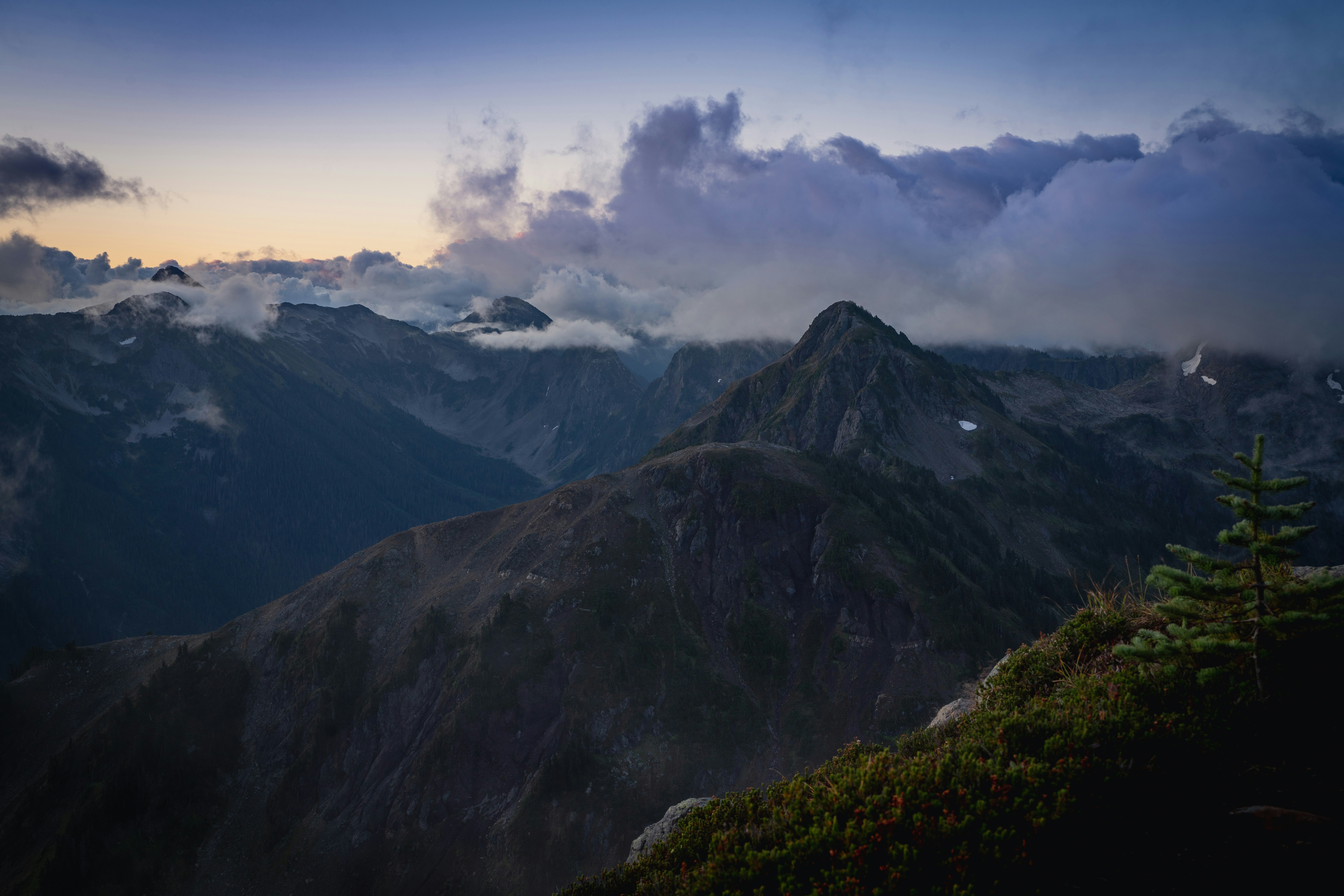 Photo by wanderingcrow