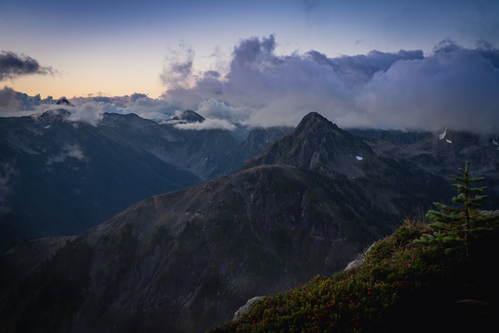 Scneery di montagna nebbiosa