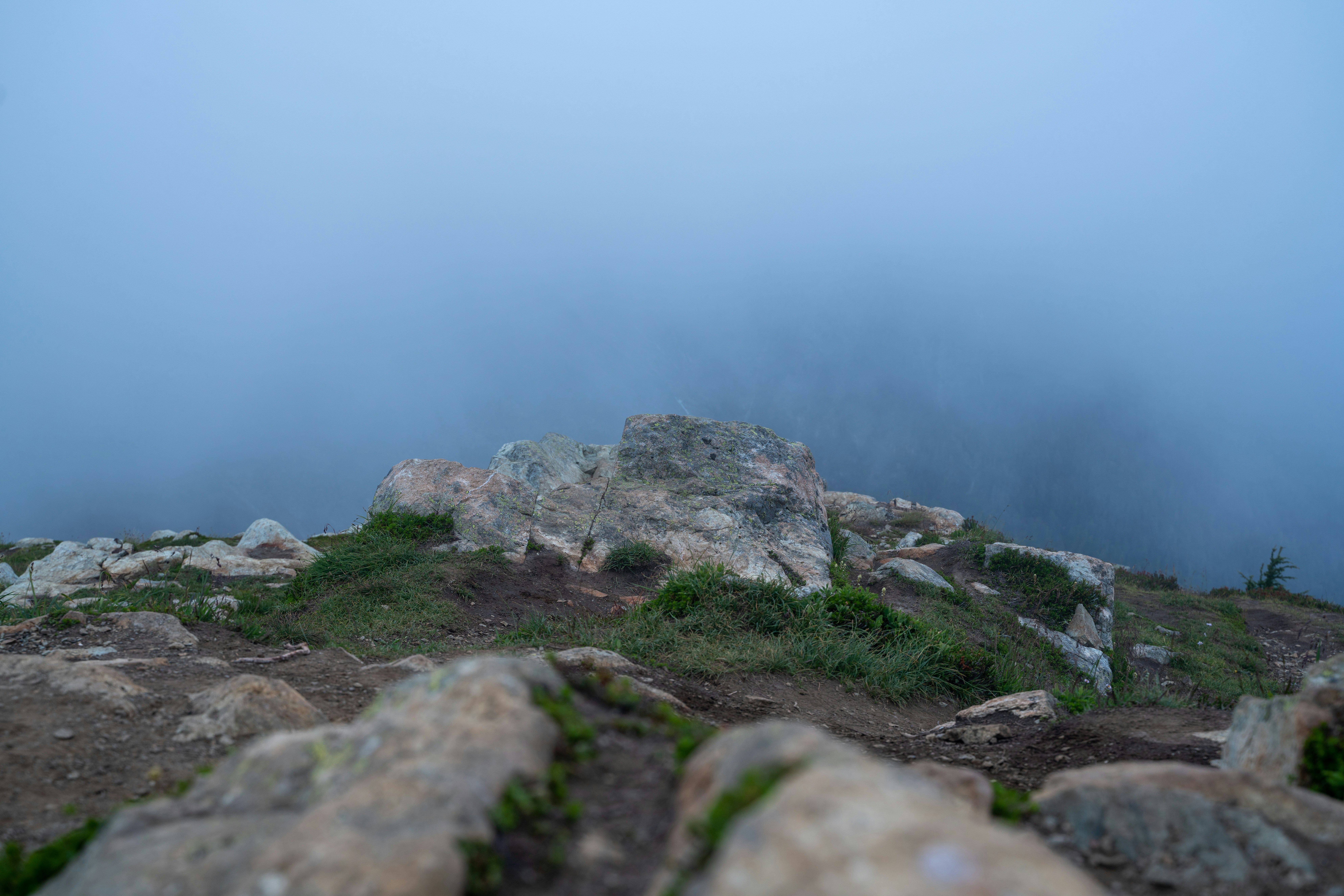 Photo by wanderingcrow