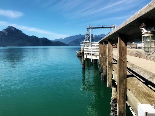 brown wooden dock and calm body of water during daytime in Porteau Cove Park Canada