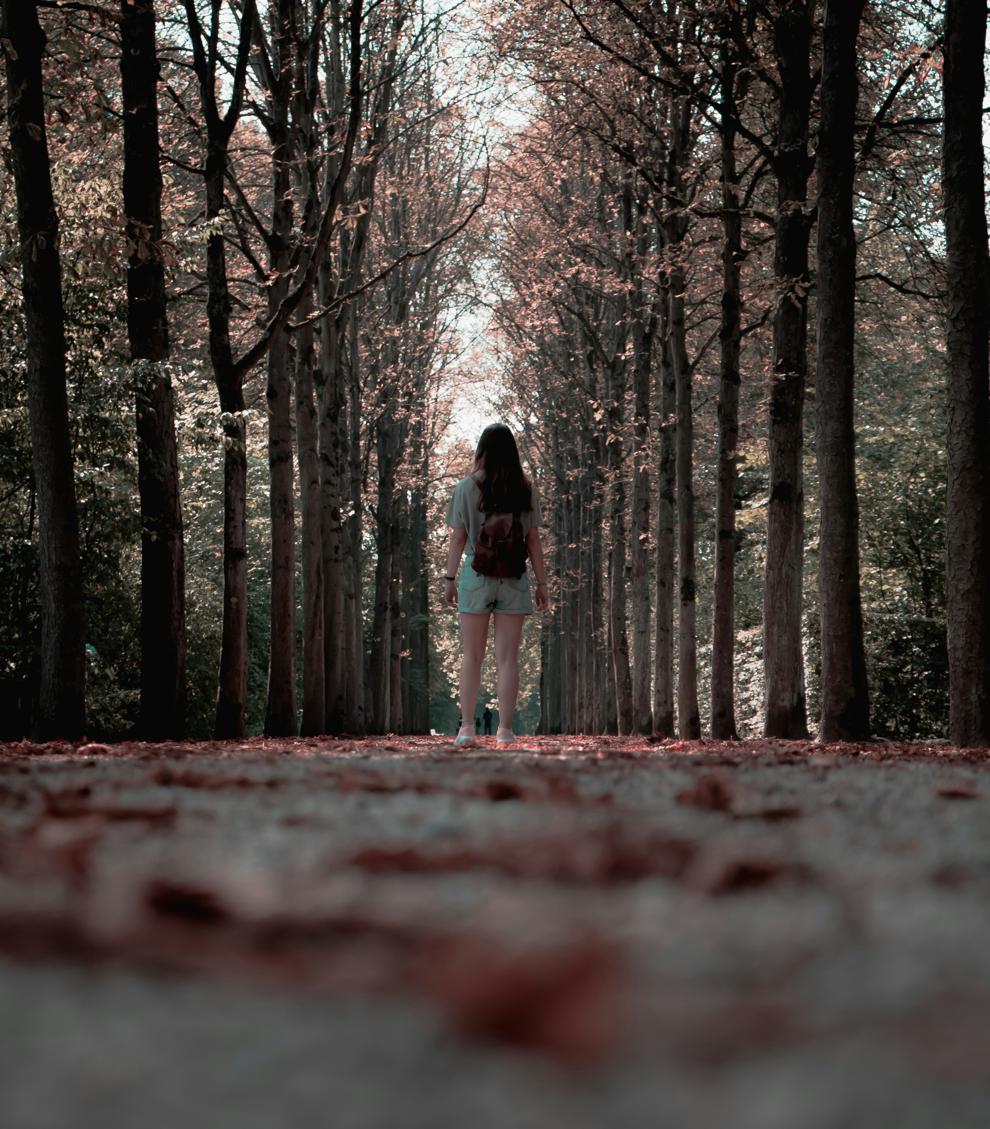 Photo by albertohlfrias