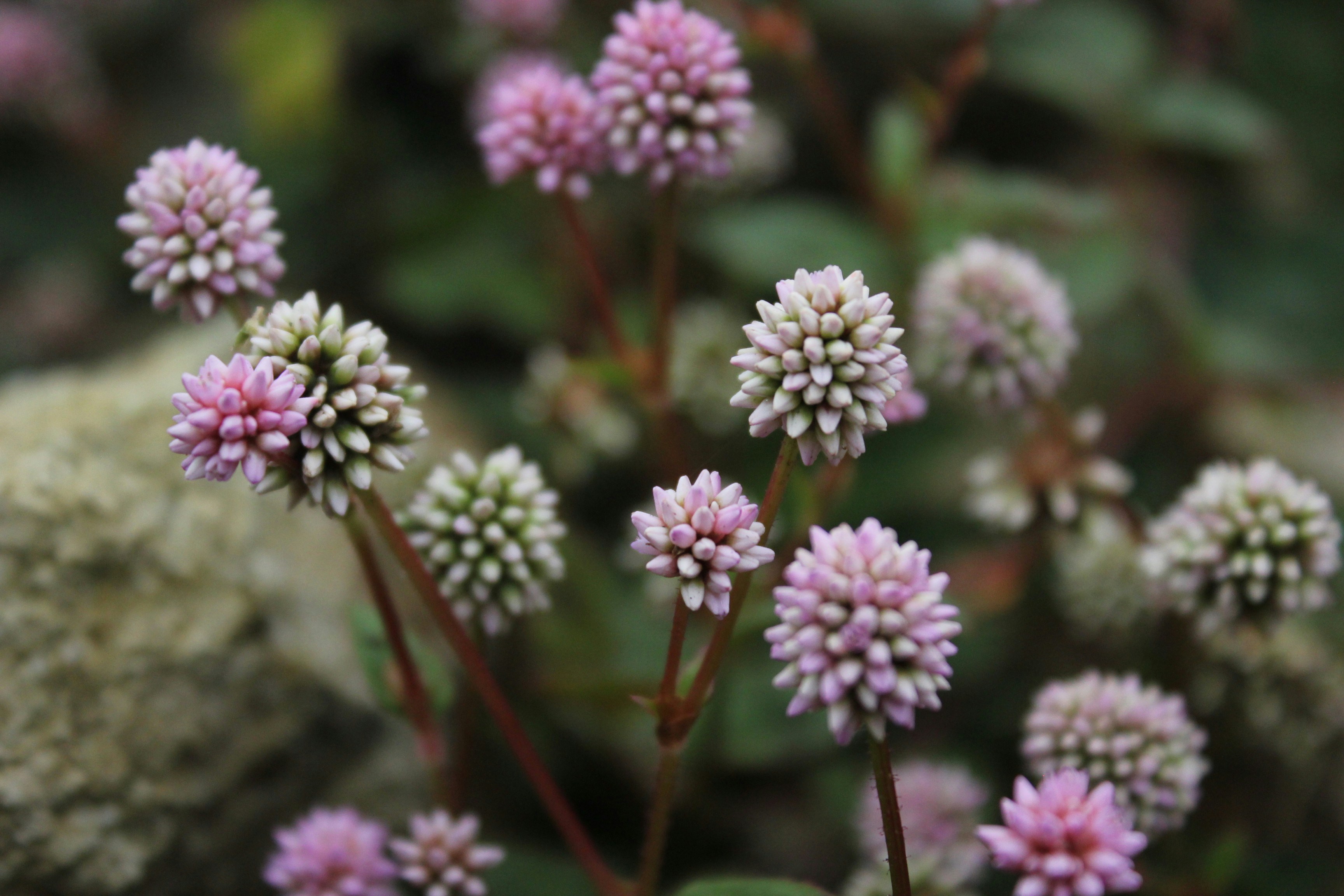 Photo by lloverarte90