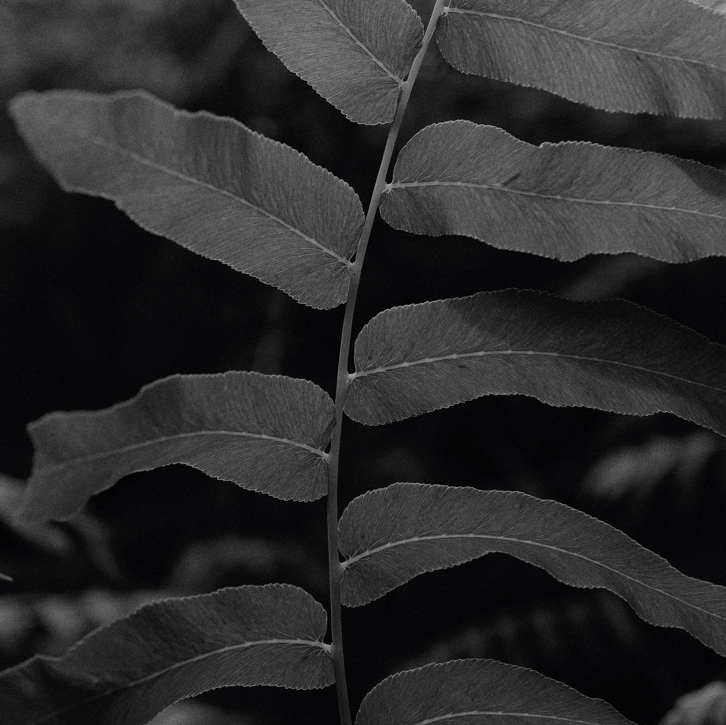 Photo by davidhariri