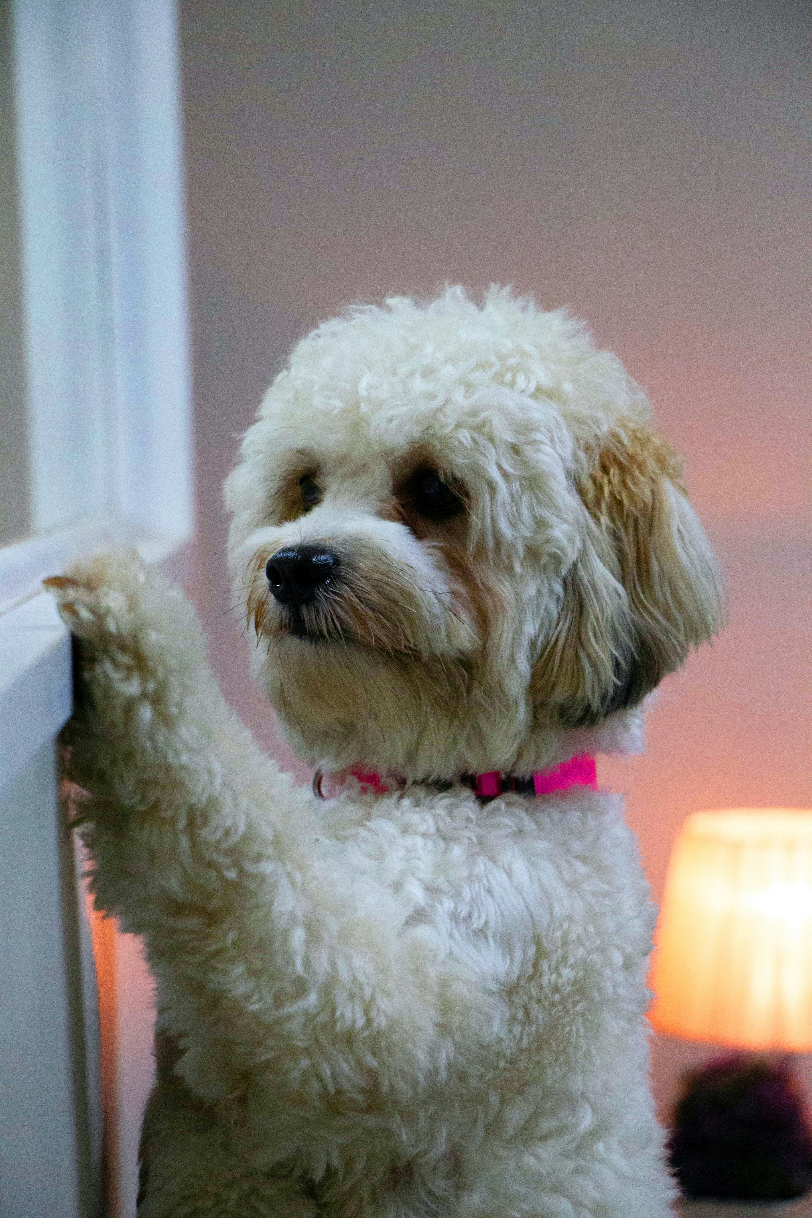 Photo by furyarriba17