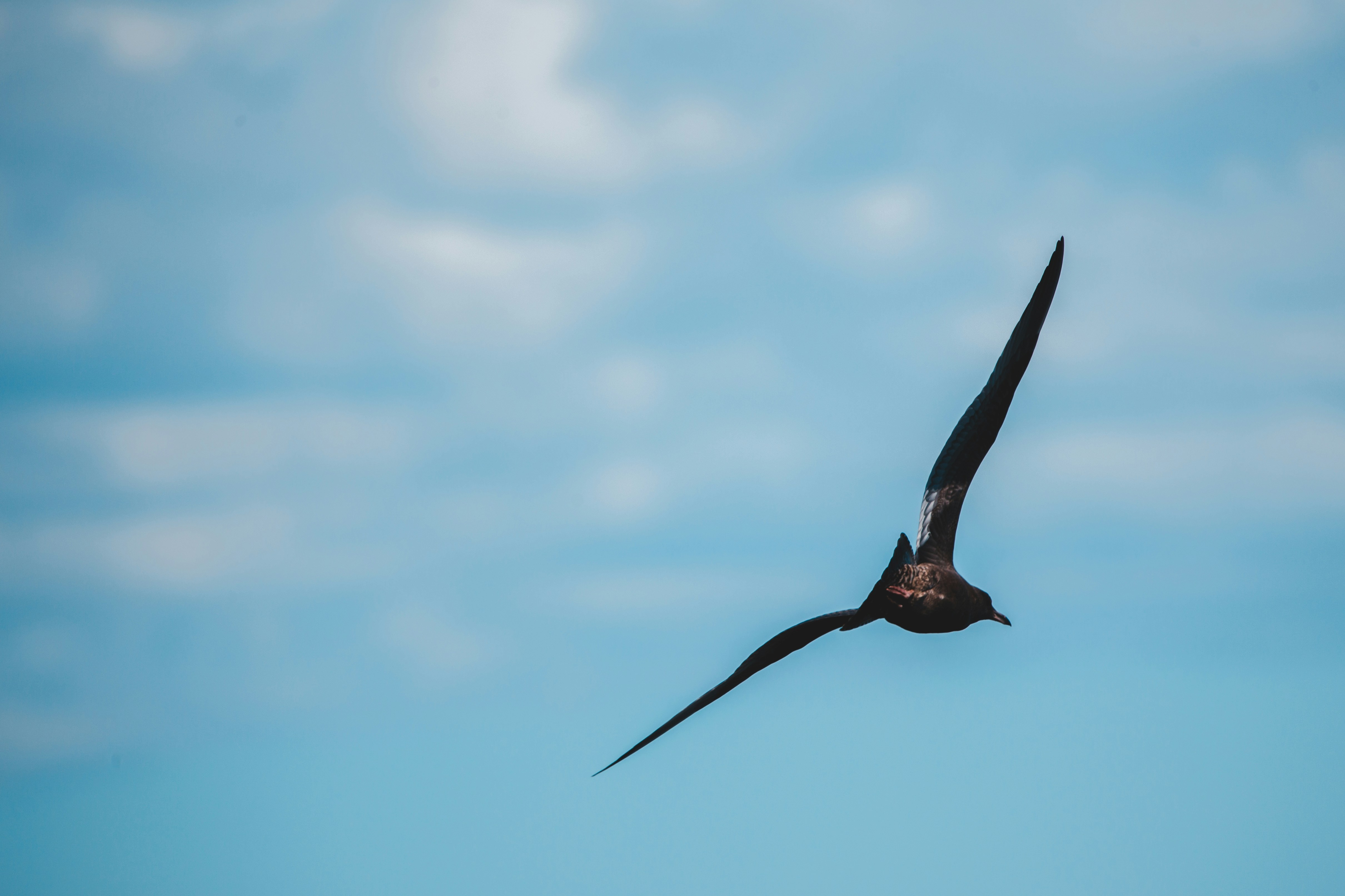 Photo by introspectivedsgn