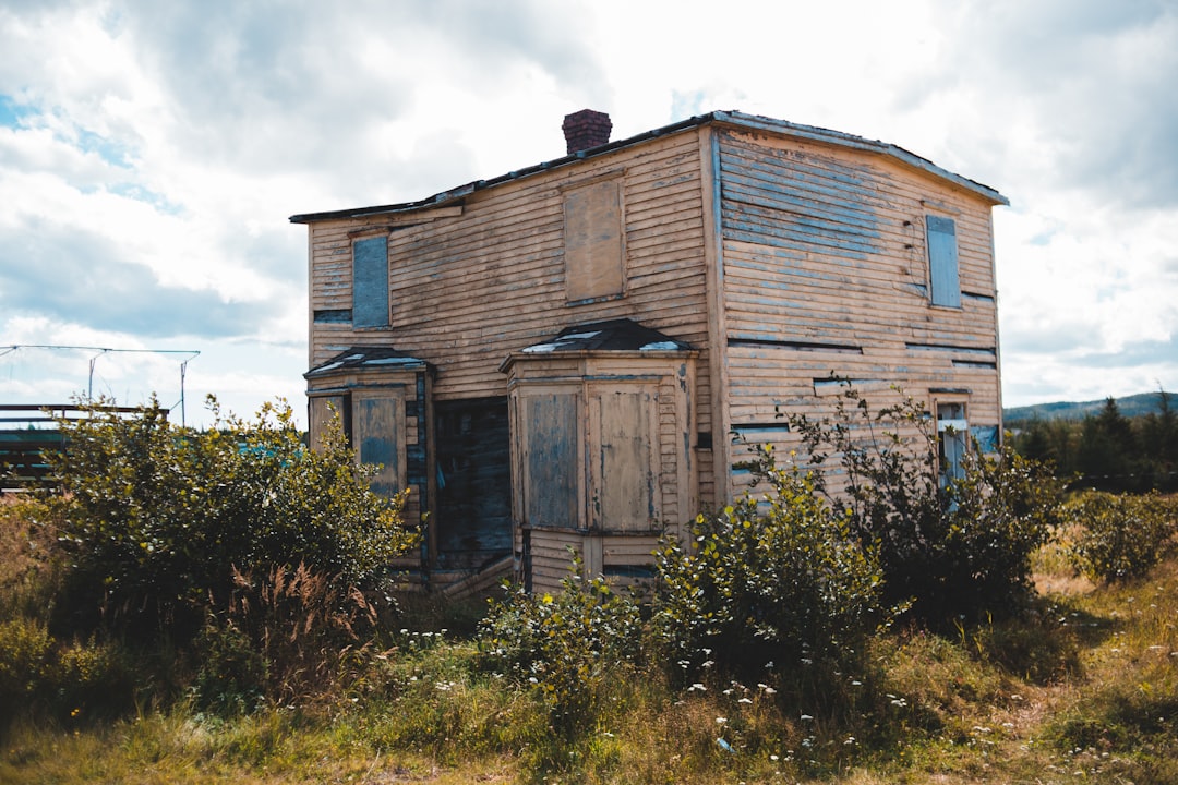 brown 2-story house near plants