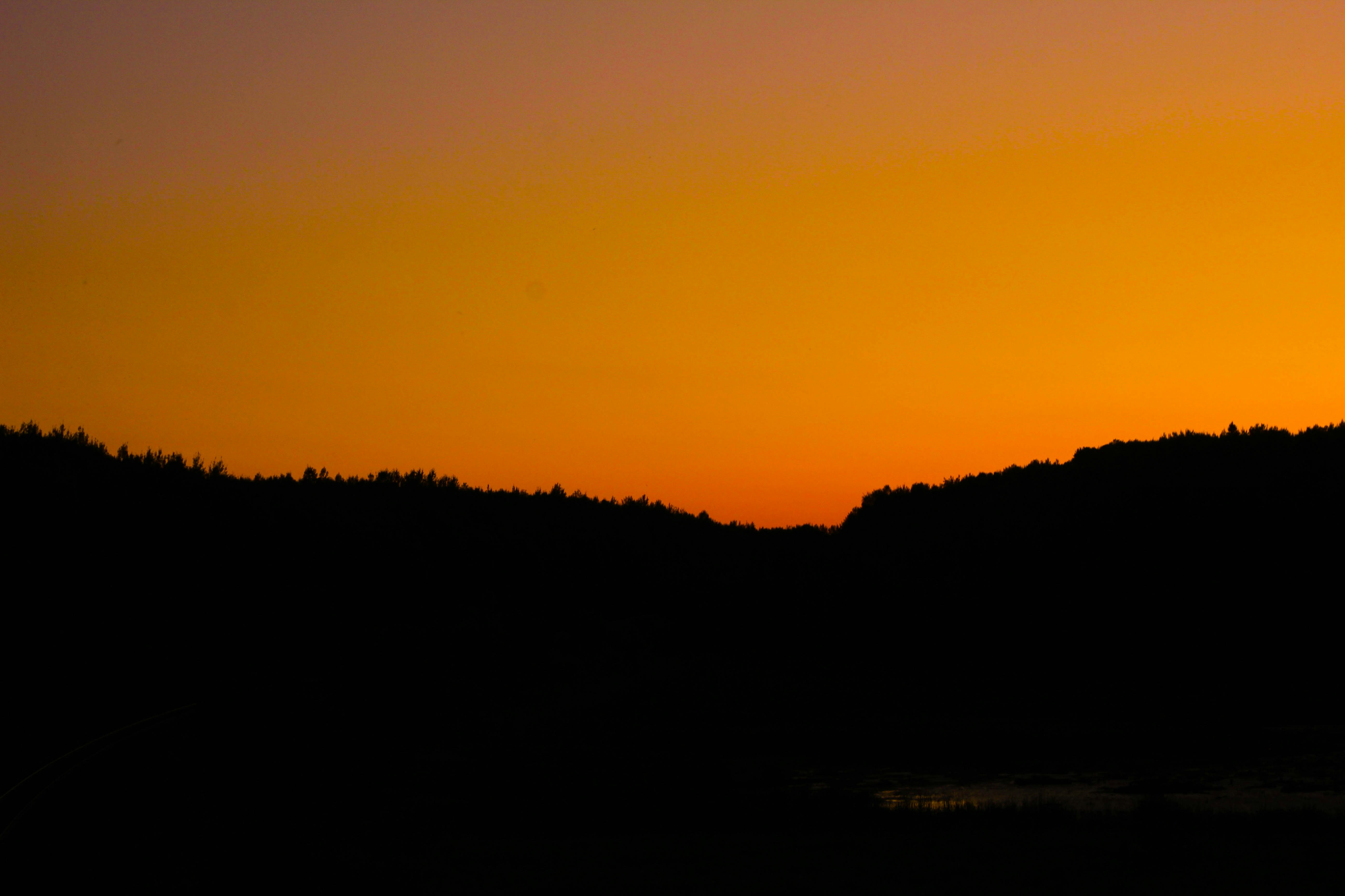 Photo by breezyb1802