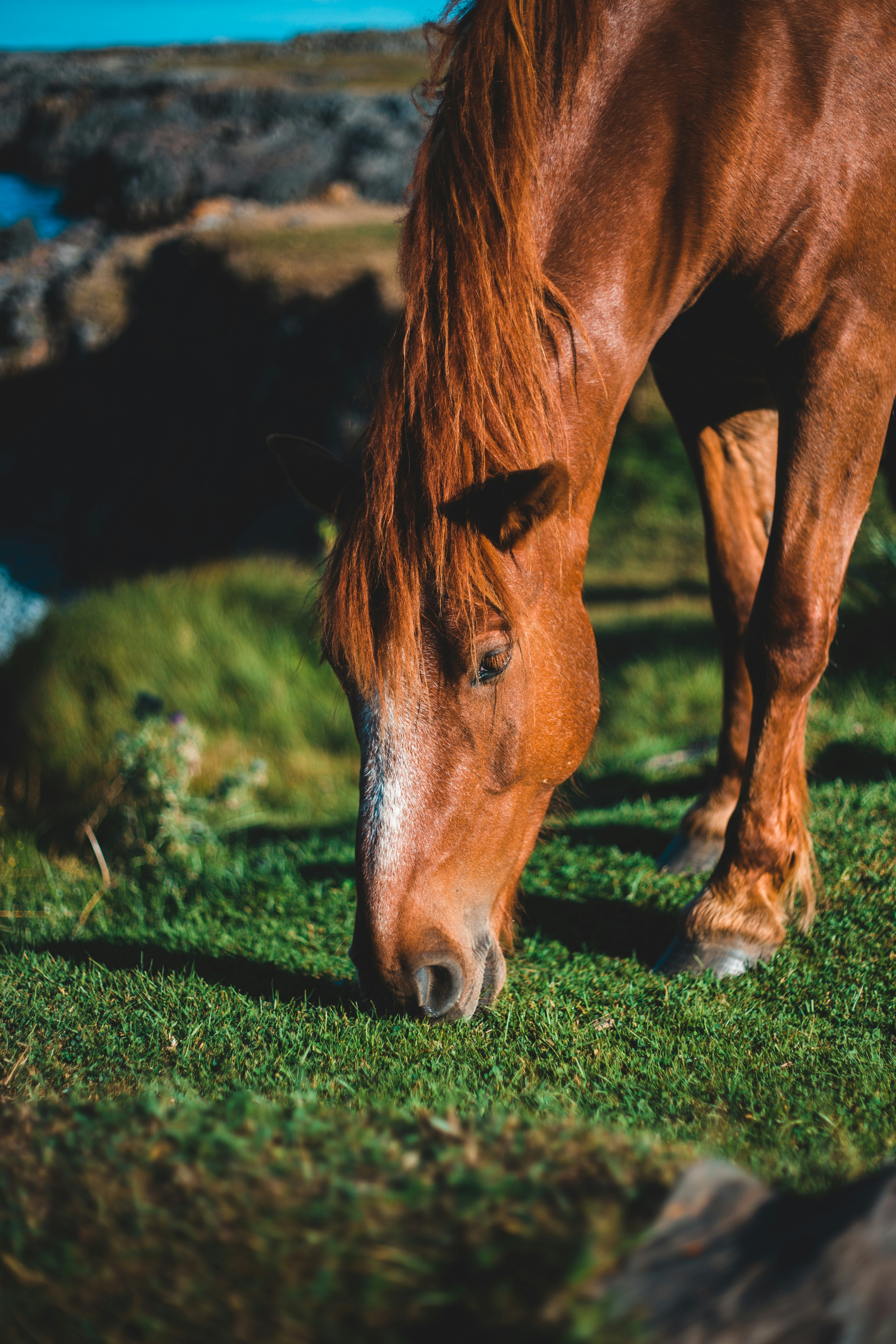 Photo by introspectivedsgn