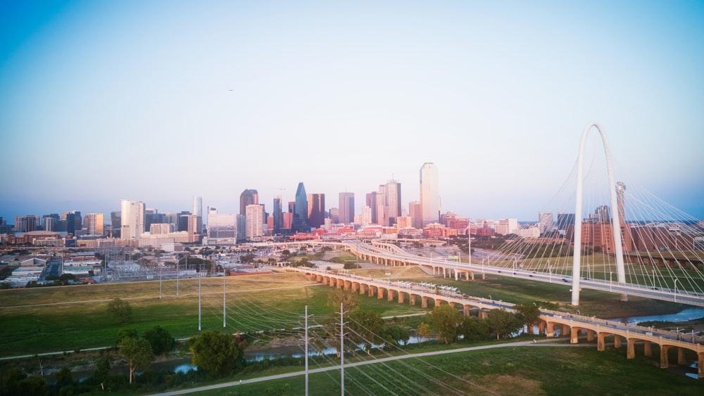 aerial photography of city skyline