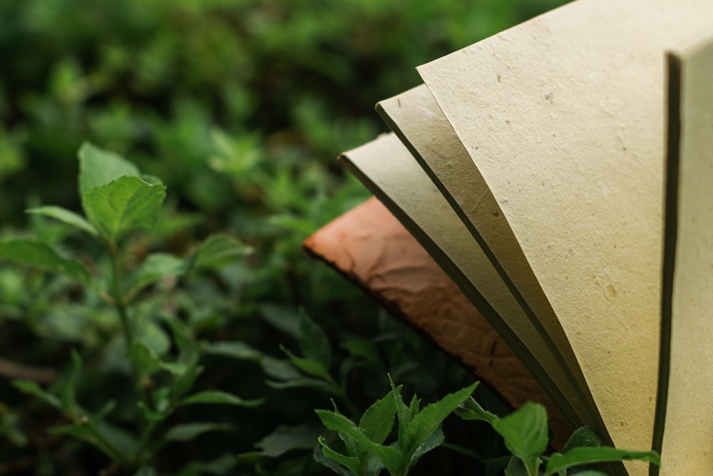 an open book sitting on top of a lush green field