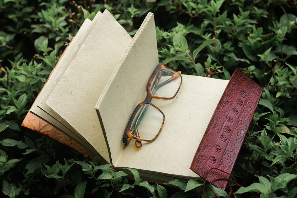 eyeglasses in book