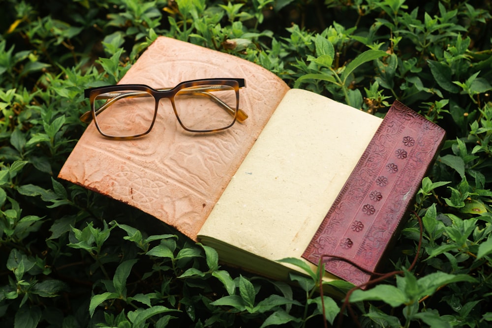 brown framed eyeglasses on opened white book