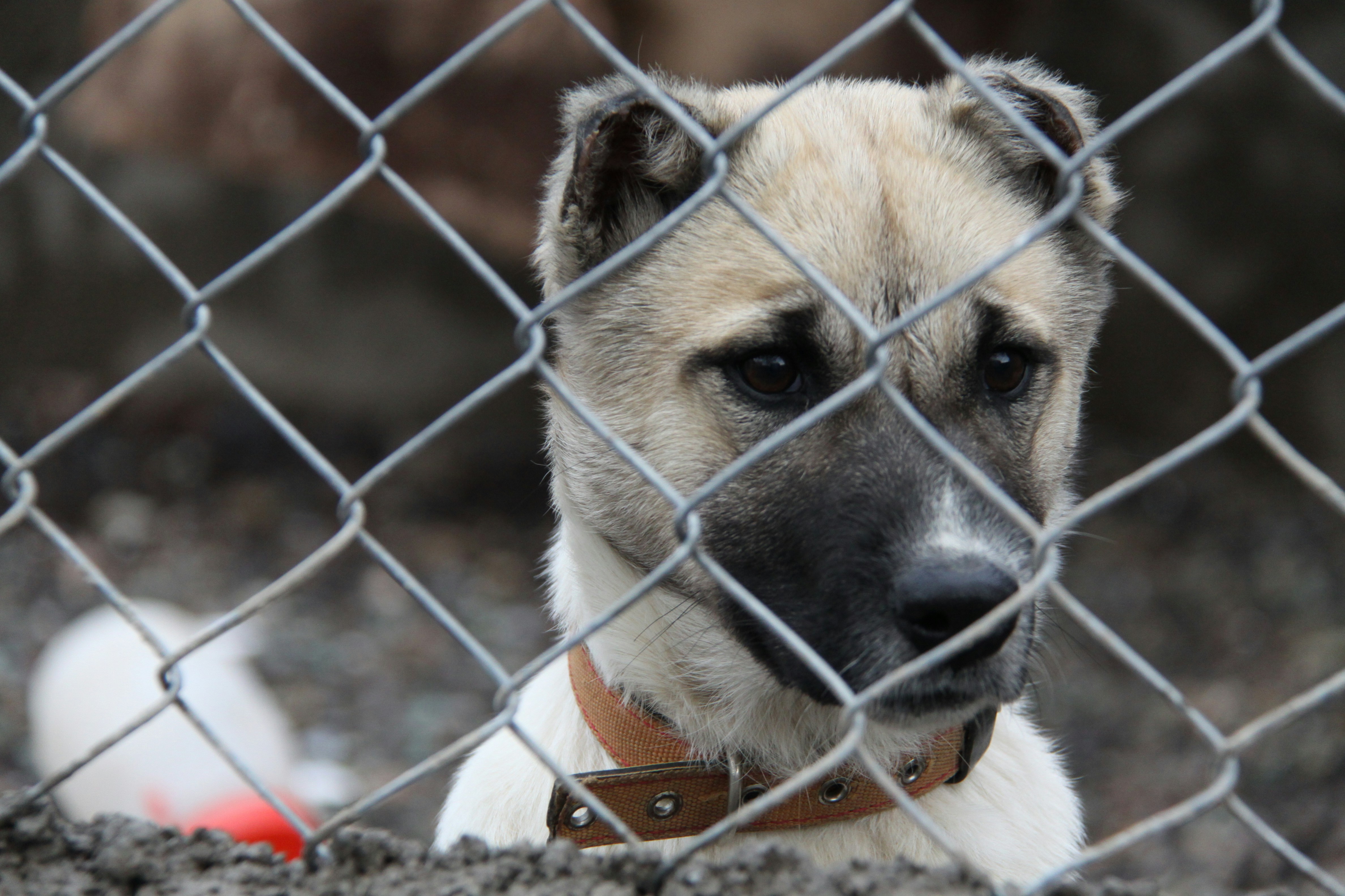 Photo by mohammad1988