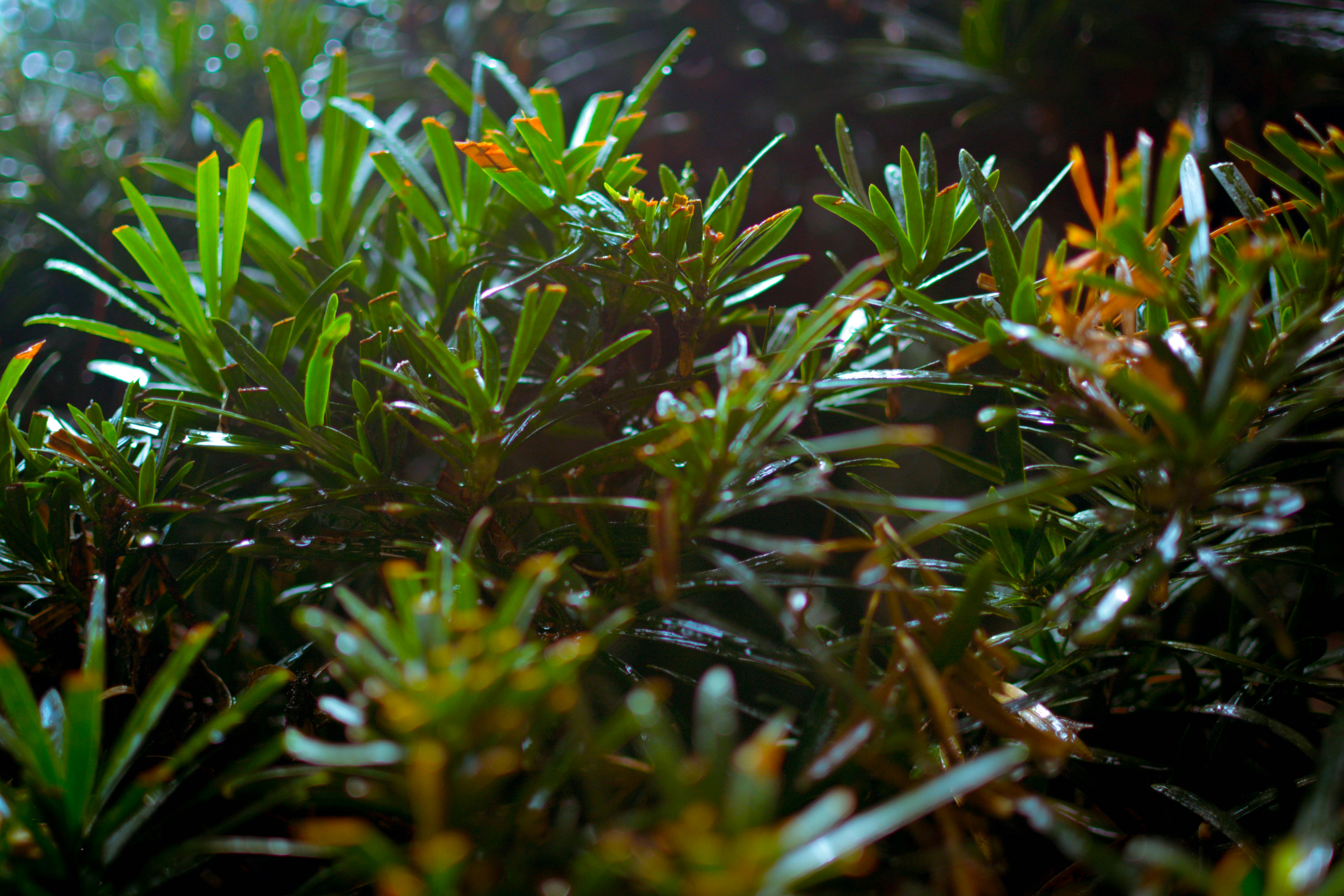 Photo by conner_darnell