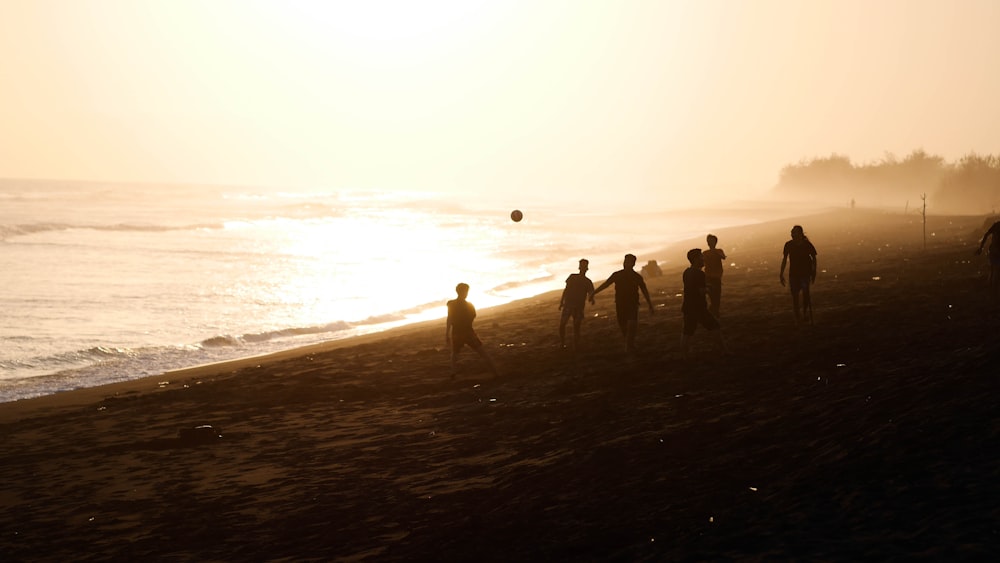 silhouette of people walking on shore