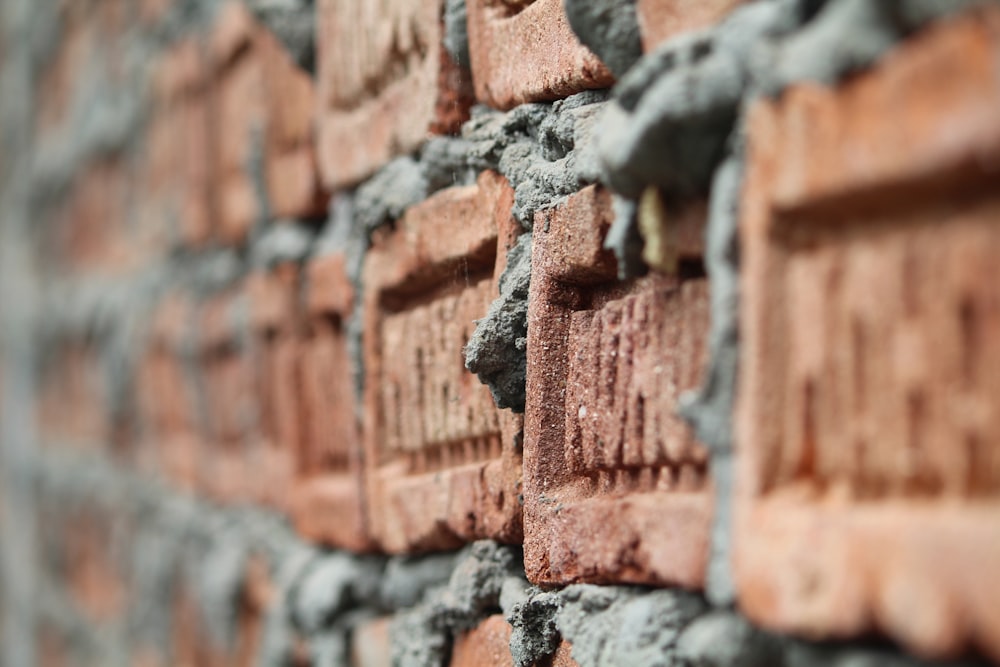 brown wall bricks