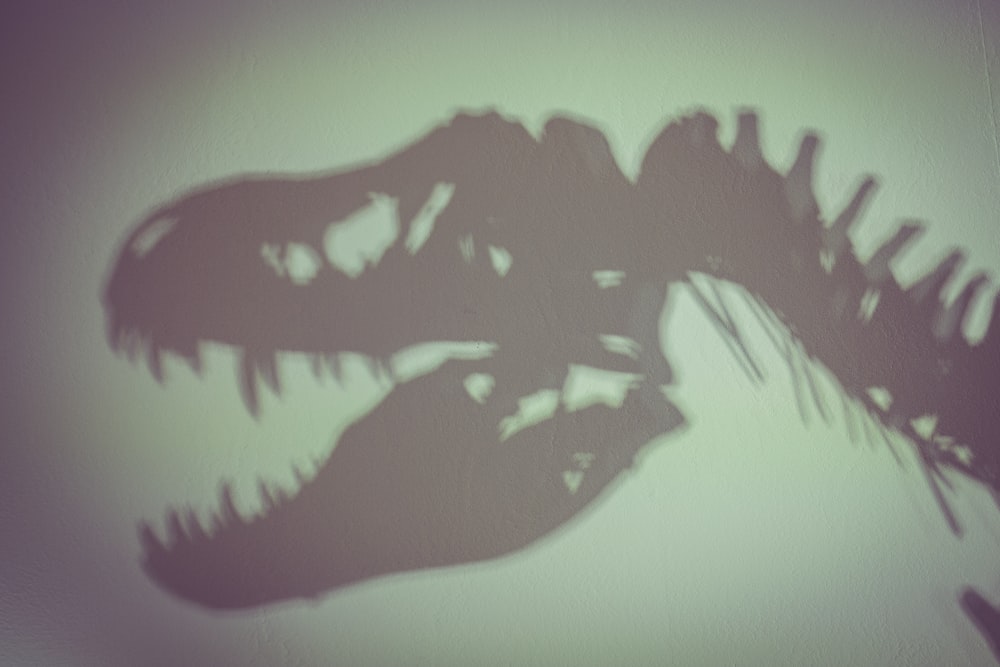 illustration de dinosaure