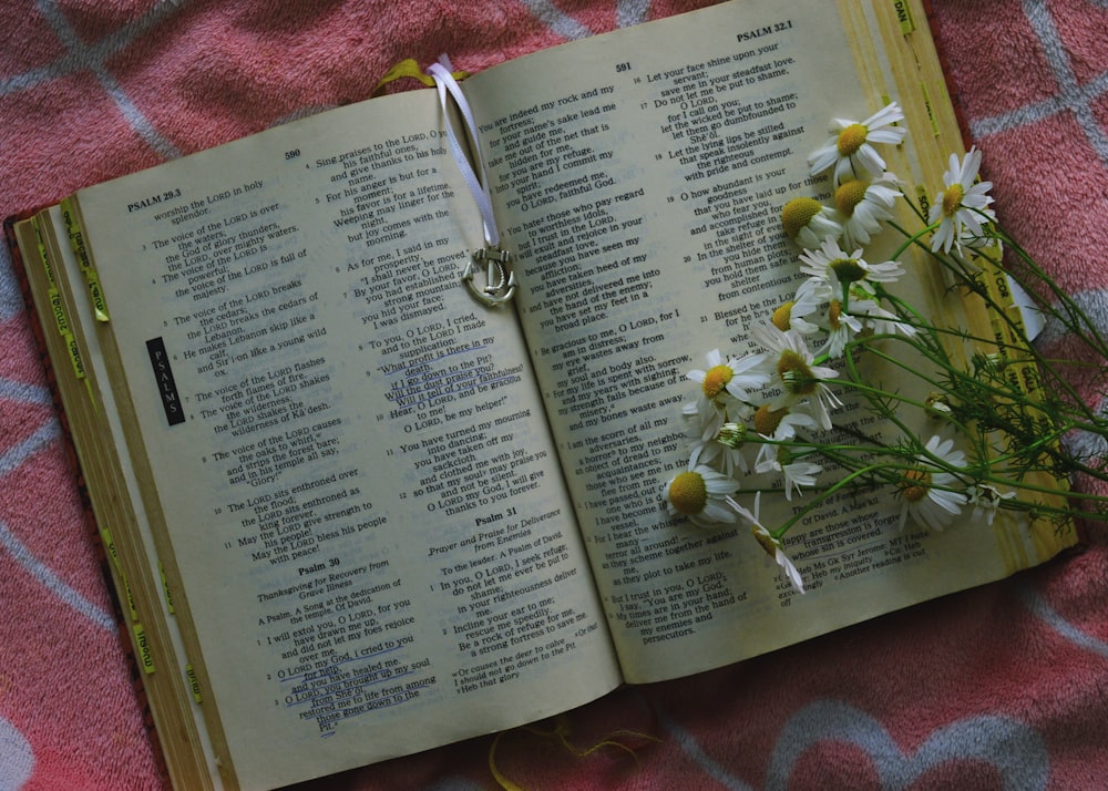 fiori di margherita bianchi e gialli sulla Bibbia aperta