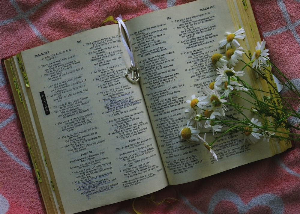 white and yellow daisy flowers on open Bible