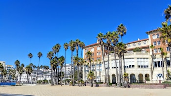 A coastal scene features a beach lined with tall palm trees in front of several elegant, multi-story buildings. These buildings showcase a classic architectural style with large windows and intricate detailing. The sky is clear and blue, adding to the overall serene atmosphere.